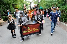 Boo at the Zoo is Underway in the Bronx